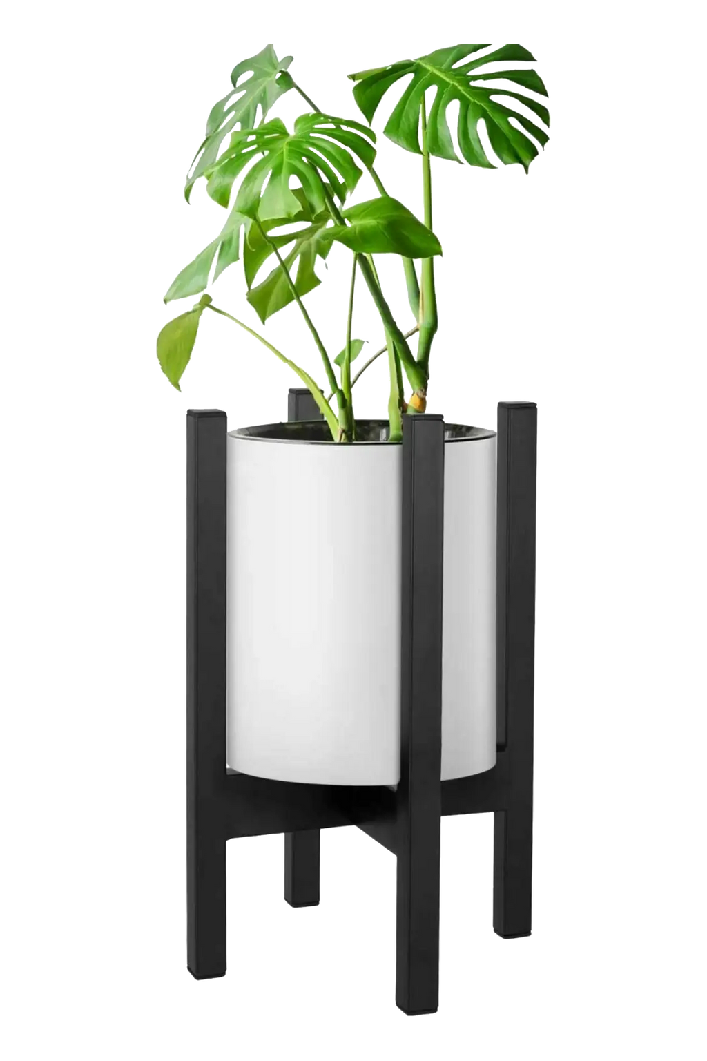Cross Plant Stand