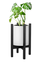 Cross Plant Stand