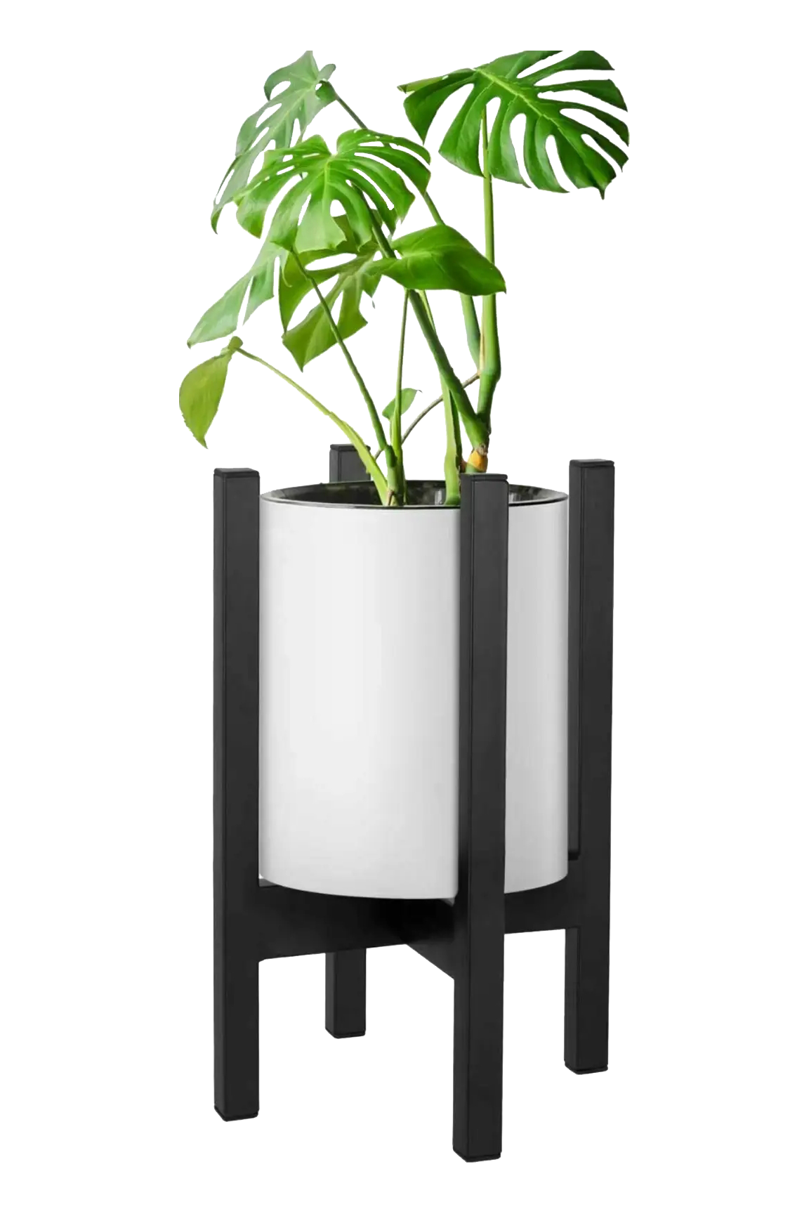 Cross Plant Stand