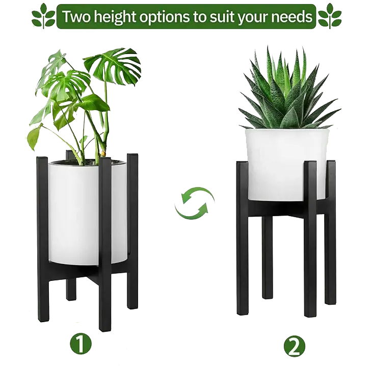 Cross Plant Stand