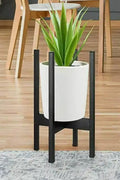 Cross Plant Stand